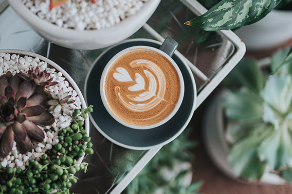 coffee cup surrounded by pretty plants